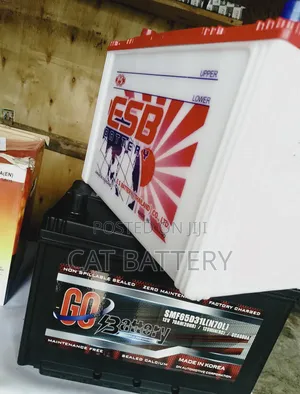 Full List of Car Battery Types