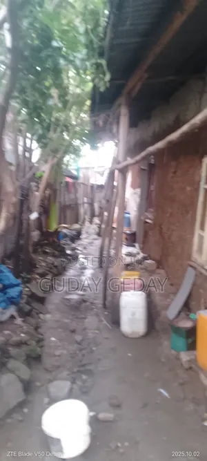 Photo - 6bdrm Farm House in Akaky Kaliti for sale