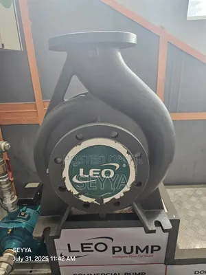 Photo - End Suction Pump