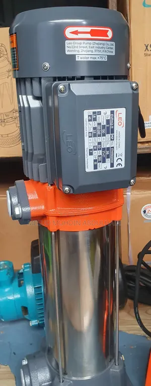 Photo - Leo Evpm 2.5hp Pump