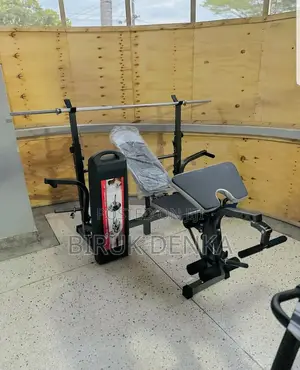 55kg Dumbbells Bench