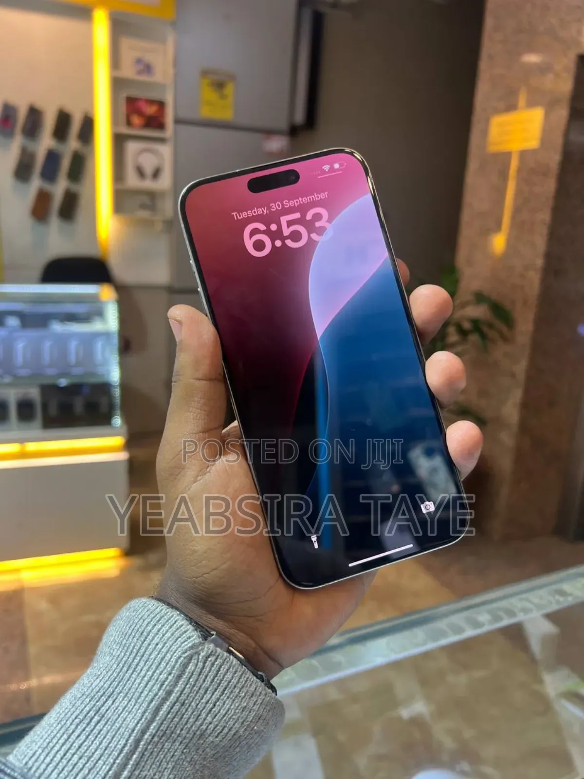 Apple iPhone 15 Pro Max 256 GB Silver