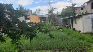 አያት ዞን ኮምፋውንድ ውስጥ የሚሸጥ 500 ካሬ ቦታ