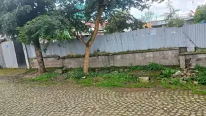 አያት ዞን ኮምፋውንድ ውስጥ የሚሸጥ 500 ካሬ ቦታ