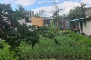 አያት ዞን ኮምፋውንድ ውስጥ የሚሸጥ 500 ካሬ ቦታ