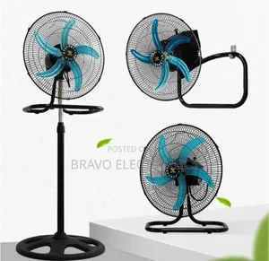 Photo - Crown Fans – Standing | Wall | Table 3 in 1