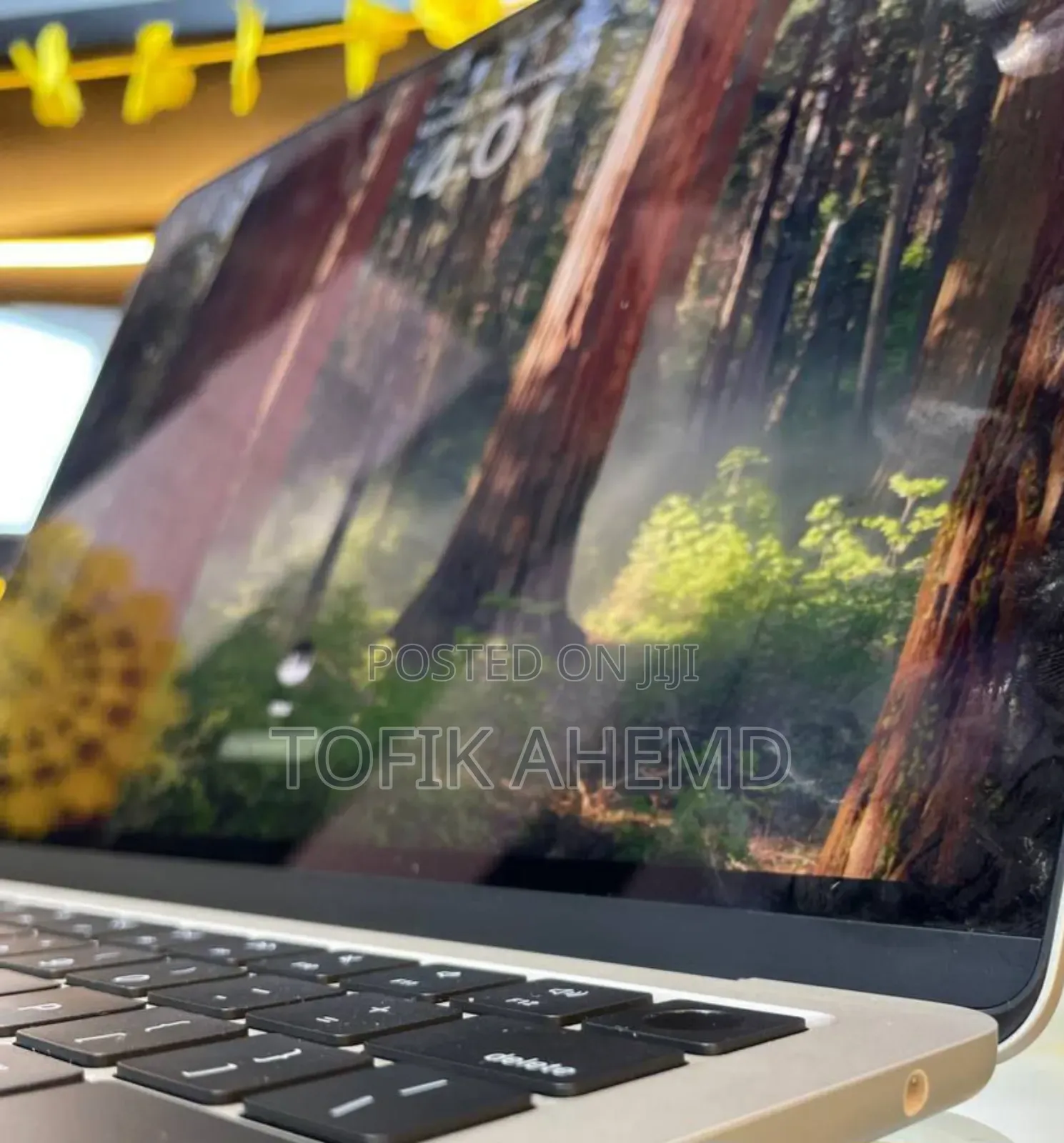 New Laptop Apple MacBook Pro 2019 16GB Apple M4 SSD 256GB