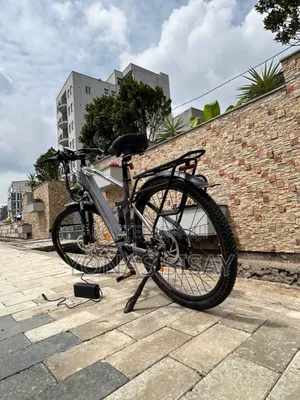 Electric Bicycle