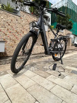 Electric Bicycle