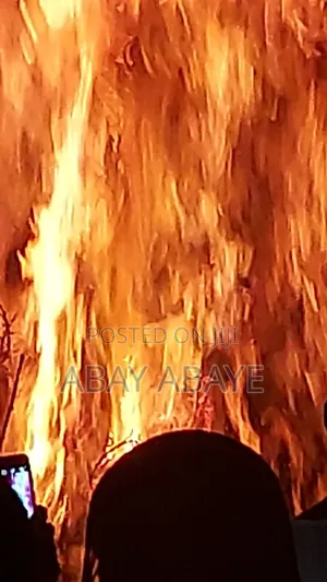 Photo - Mk Agricultural Business Consultant PLC