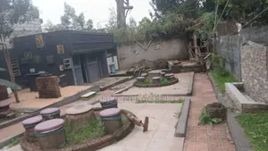 7bdrm House in Bole for rent