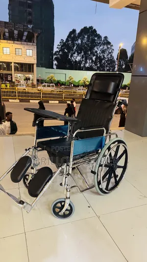 Toilet Wheelchair