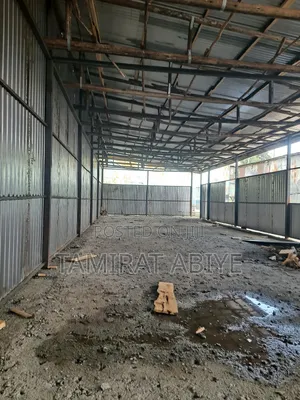 Building and Finishing Contractor