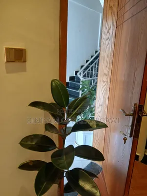 Furnished 1bdrm Apartment in Apartment, Yeka for rent