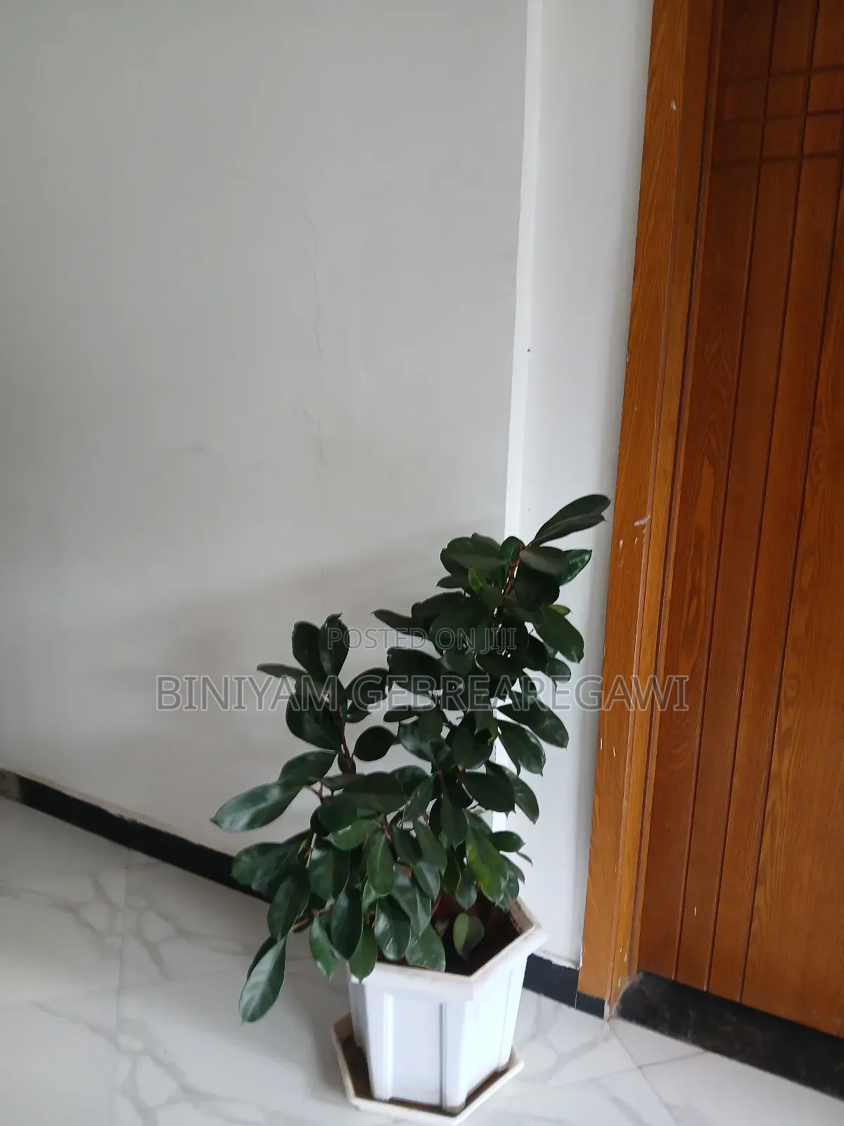 Furnished 1bdrm Apartment in Apartment, Yeka for rent