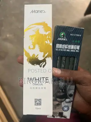 Photo - White and Black Charcoal for Art