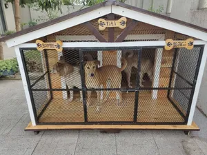 Photo - Very Smart Home Dog