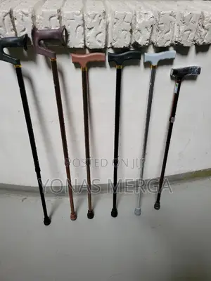 Walking Stick|An Invaluable Tool for Anyone Looking to Improve Walking