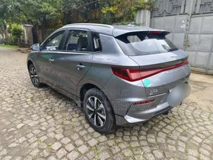 BYD E2 43 kWh 94 hp FWD 2024 Silver