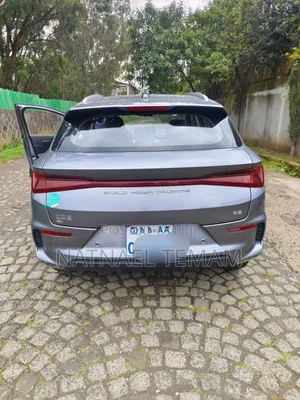 BYD E2 43 kWh 94 hp FWD 2024 Silver