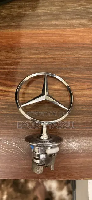 Photo - Mercedes Emblem Logo
