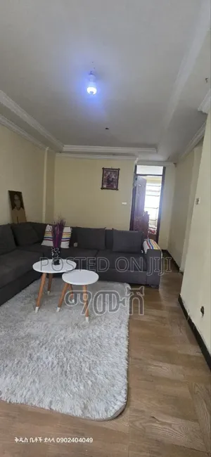 Furnished 1bdrm Condo in ቦሌ አራብሳ, Bole for sale