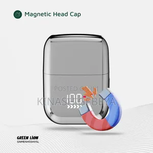 Green Lion Stainless Steel Blade Mens Shaver(Wet and Dry Use)