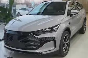 New BYD Tang DM-i 2025
