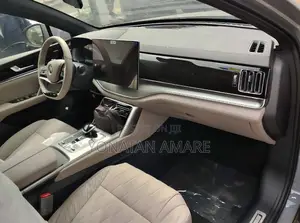 New BYD Tang DM-i 2025