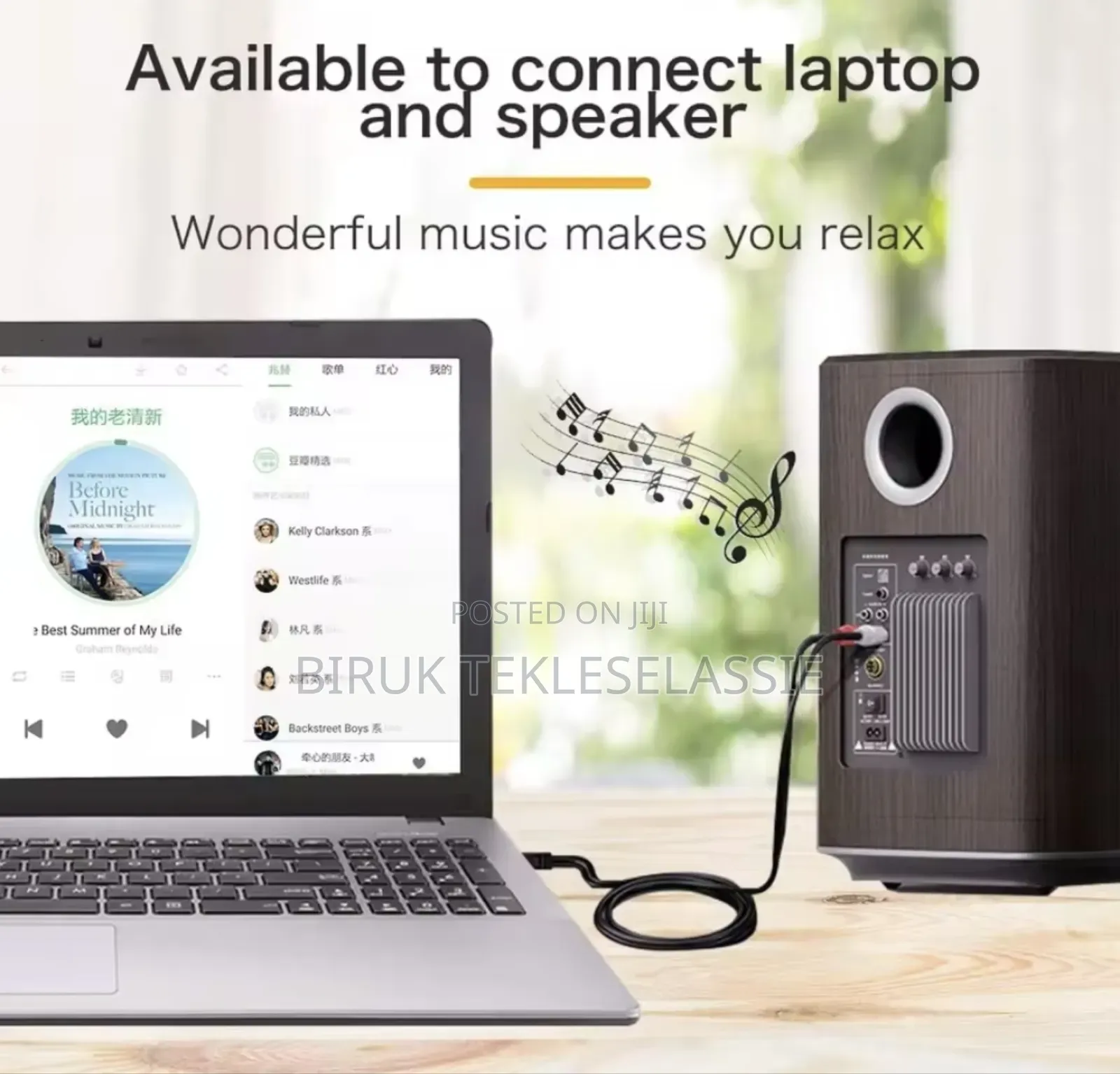 2rca 3.5mm Jack Cable