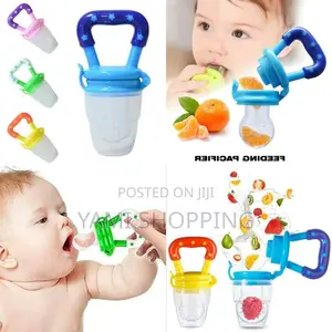 Photo - Baby Fresh Fruit Food Feeder