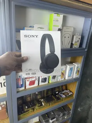 Photo - Sony Wh-Ch520 Headphone