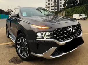 Hyundai Santa Fe 2023 Gray