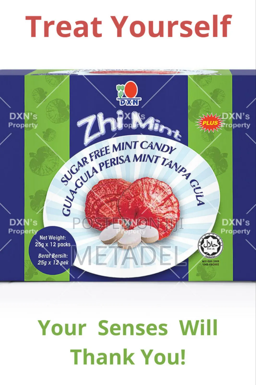 DXN Zhi Mint Plus