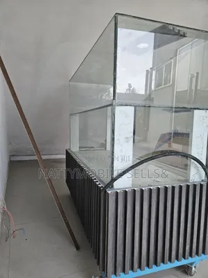 Photo - Mobile Display