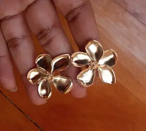 Photo - Earrings 300 Birr ,Wholesale 250 Birr