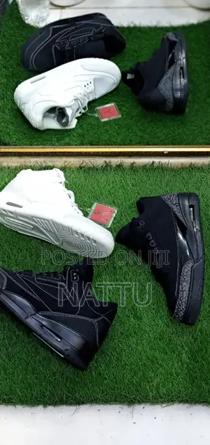 Air Jordan 3 100 Birr Off