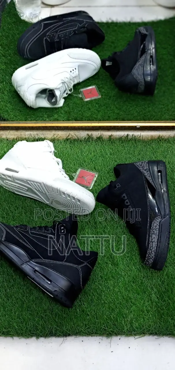 Air Jordan 3 100 Birr Off