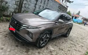 Hyundai Tucson 2021 Brown