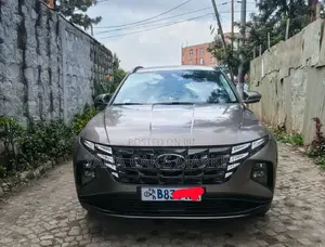 Hyundai Tucson 2021 Brown