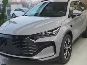 Photo - New BYD Tang DM-i 2025 White