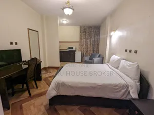 Furnished 16bdrm Apartment in Addis Abeba, Bole for rent