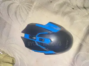 Photo - Sensitive Mouse