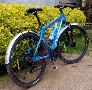 Photo - Phoneix Bike