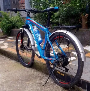 Phoneix Bike