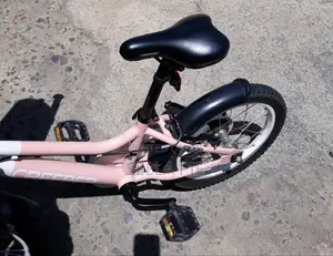 Kids Bike For Girls Pinky