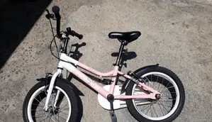 Kids Bike For Girls Pinky