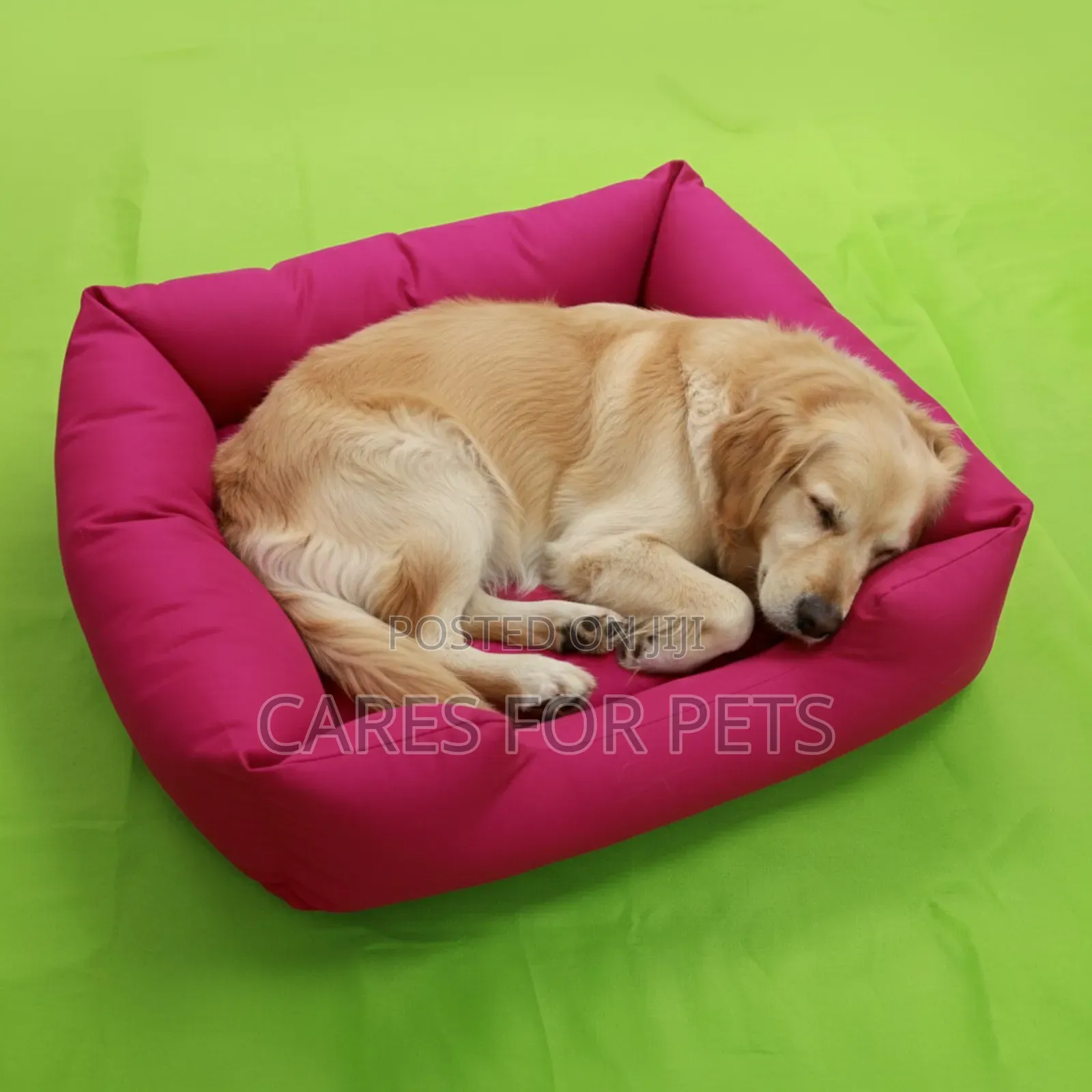 ​ምቹ እና ዘመናዊ የውሻ አልጋ (Hot Pink Dog Bed)