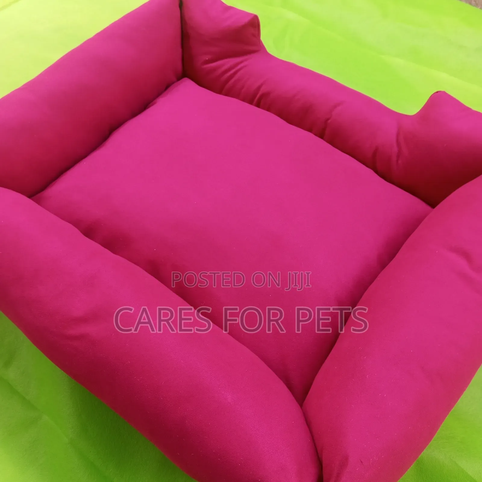 ​ምቹ እና ዘመናዊ የውሻ አልጋ (Hot Pink Dog Bed)