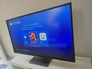 Photo - LCD Monitor 43"